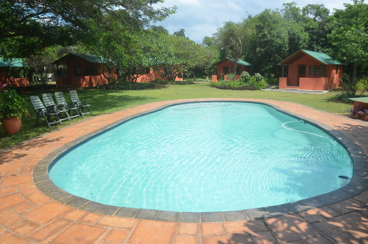 Bushbaby Lodge & Camping 赫卢赫卢韦 外观 照片