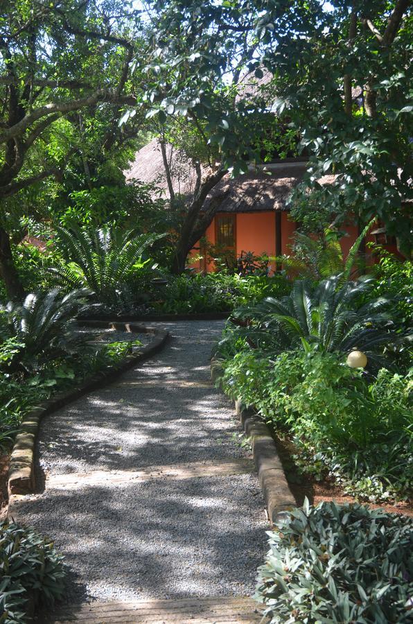 Bushbaby Lodge & Camping 赫卢赫卢韦 外观 照片