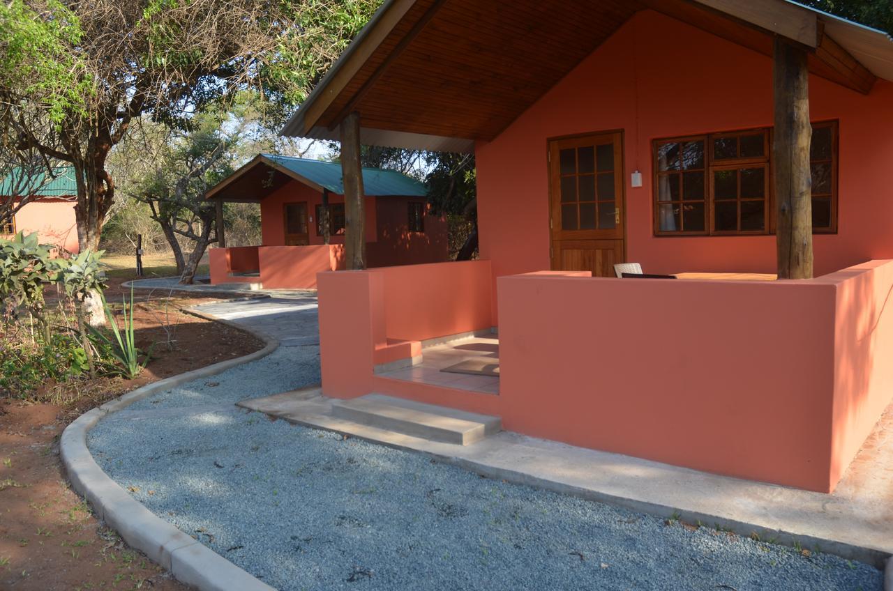 Bushbaby Lodge & Camping 赫卢赫卢韦 外观 照片