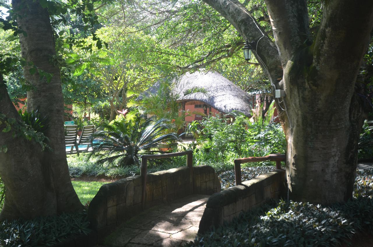 Bushbaby Lodge & Camping 赫卢赫卢韦 外观 照片